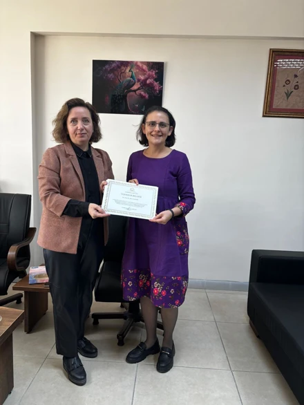 Hemşirelik Araştırmalarında Yenilikçi Yol: Yenilikçi Makale Sorunu